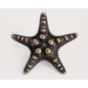 Emenee-OR421 Sea Star