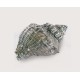 Emenee-OR422 Murex Conch