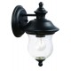 Design House 502906 Highland Outdoor DownLight In Black w/ Seedy Glass