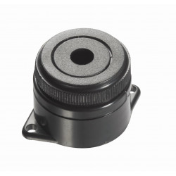 Alarm Controls PA-300 Dual Tone Piezo Buzzer
