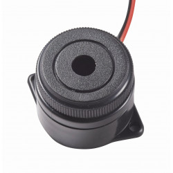 Alarm Controls PA-100 Piezo Buzzer