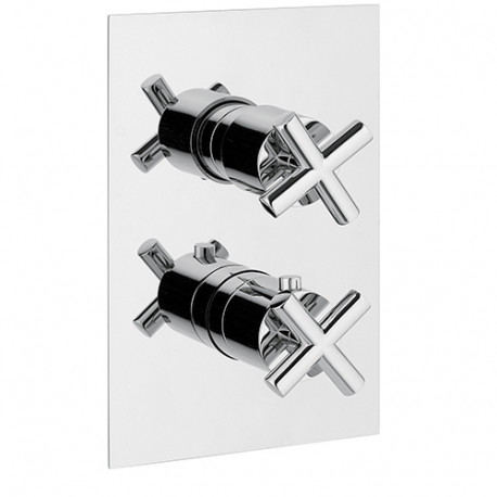 Rain Therapy OM-30J1 InWall T.Static 3/4" Valve w/2 Way Diverter + Share Port 3/4" Fem. NPT Inlet w/Shut-Off,Filters