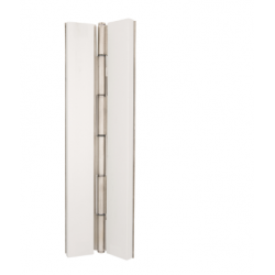NGP SS302 Stainless Steel Continuous Hinge Full Surface
