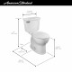 American Standard 747BA107SC.020 Champion Two-Piece 1.28 gpf Chair Height Round Front Toilet w/Seat