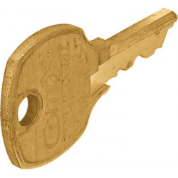 Hafele 210.02.219 Master Key Brass For Disk Cylinder E41A