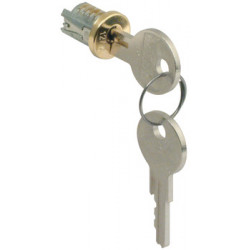 Hafele 210 Snap-In Lock Core, Keyed Alike