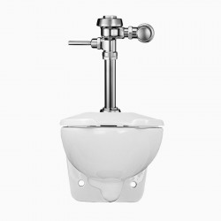Sloan WETS-2452.1002 ST-2459 Wall Hung Elongated Toilet Fixture w/ WES 111-1.6/1.1 Flushometer