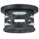 Design House 587212 Washburn LED Ceiling Light w/ Seedy Glass