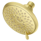 Pfister 973-311 Northcott Multi-Function Showerhead